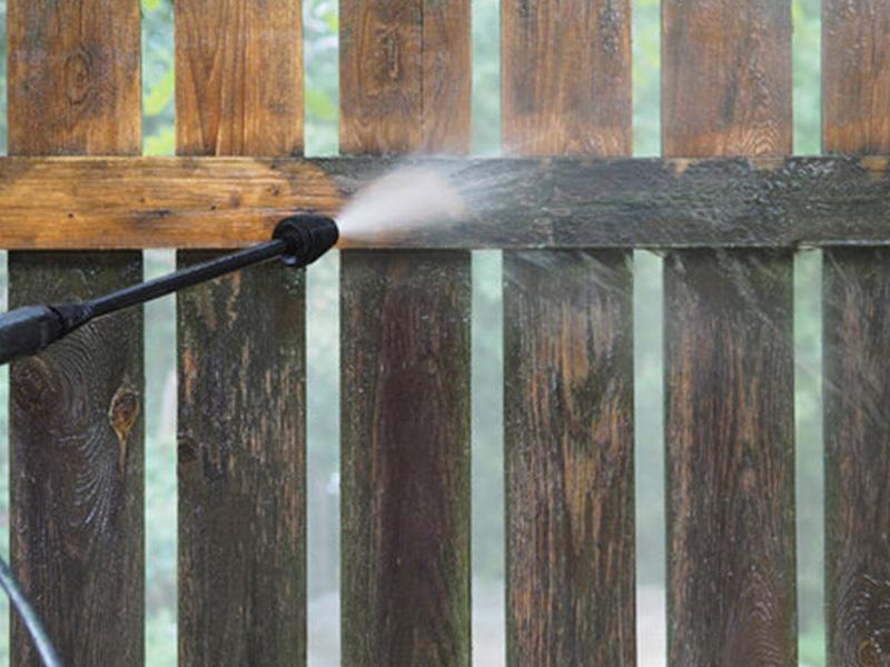 Fence Cleaning