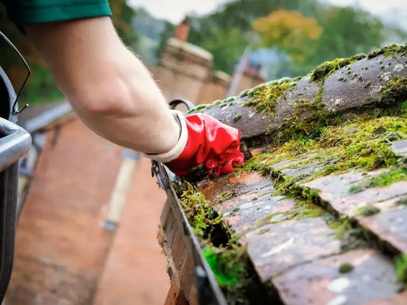 Roof and Gutter Cleaning